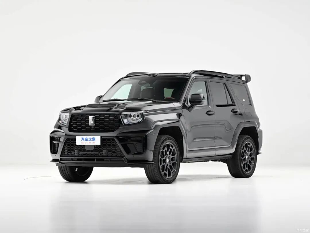 硬派越野玩家必看！双动力版本，机械风拉满，兄弟这车我真心动！