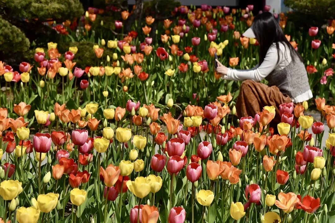 即刻出发，来南通