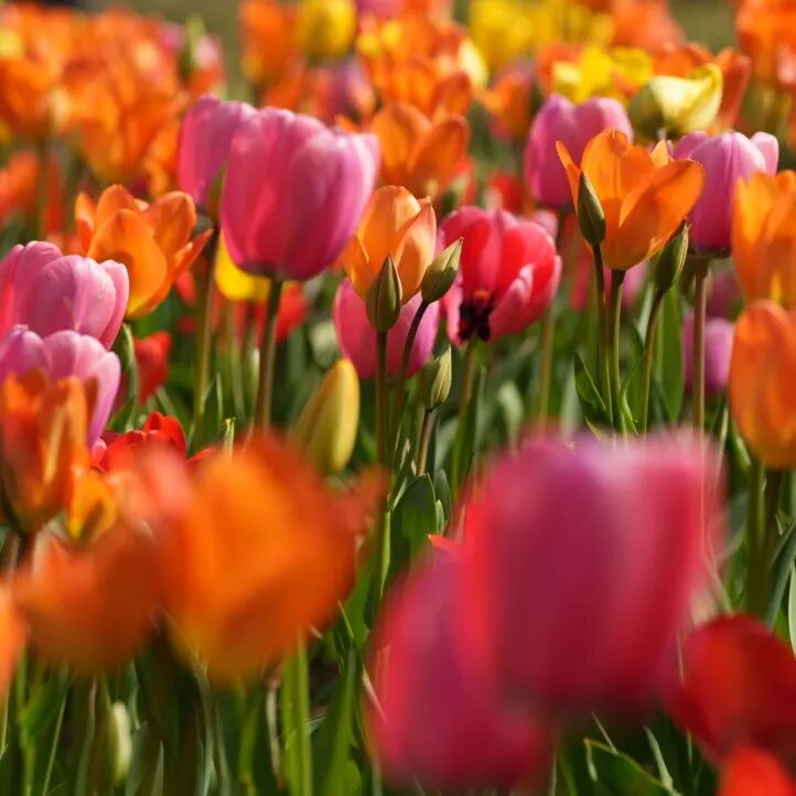 即刻出发，来南通"Color Walk"