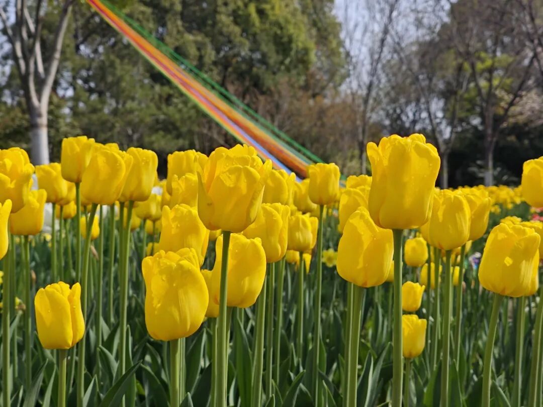 即刻出发，来南通