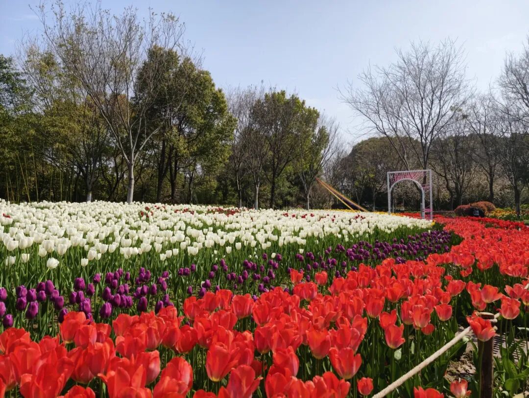 即刻出发，来南通