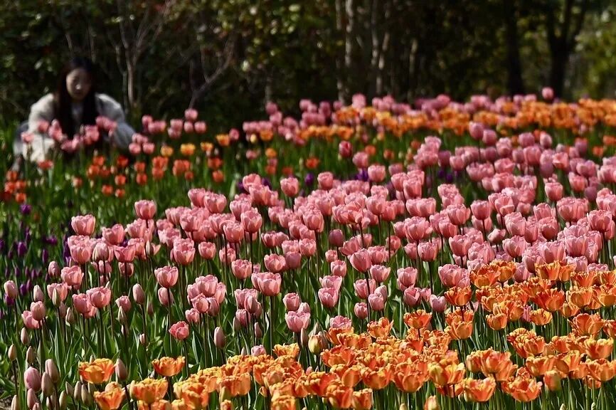 即刻出发，来南通