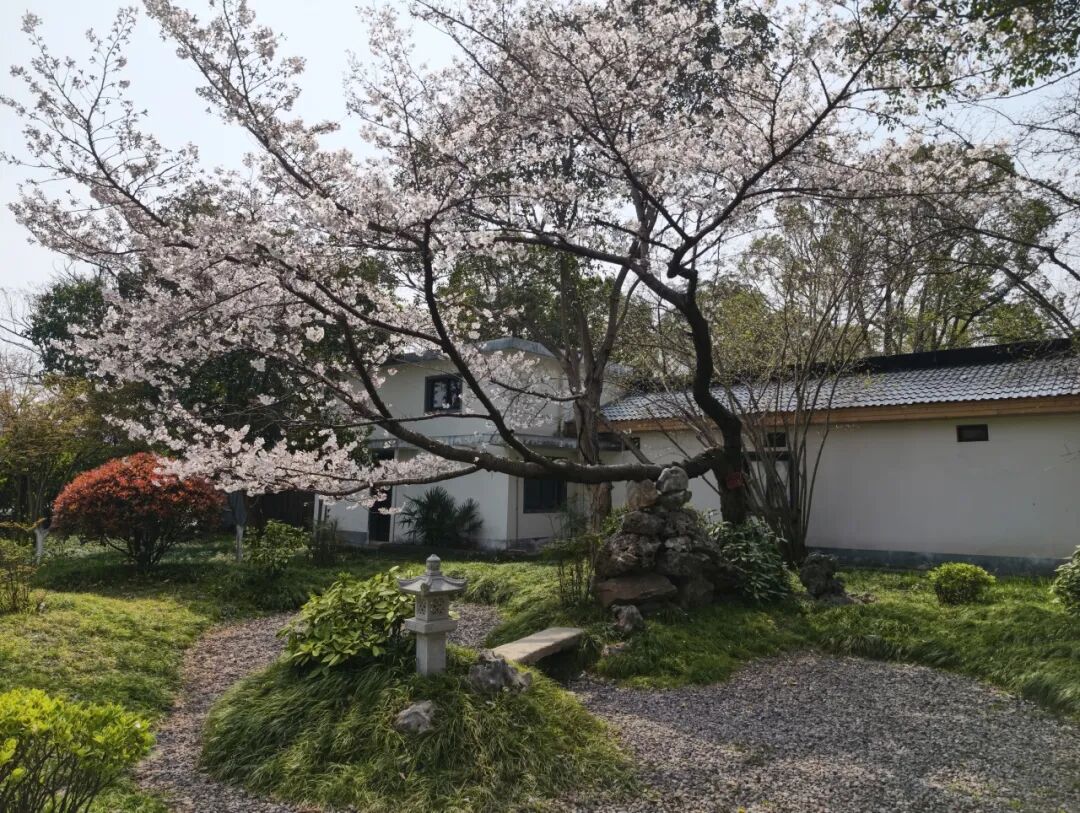 即刻出发，来南通