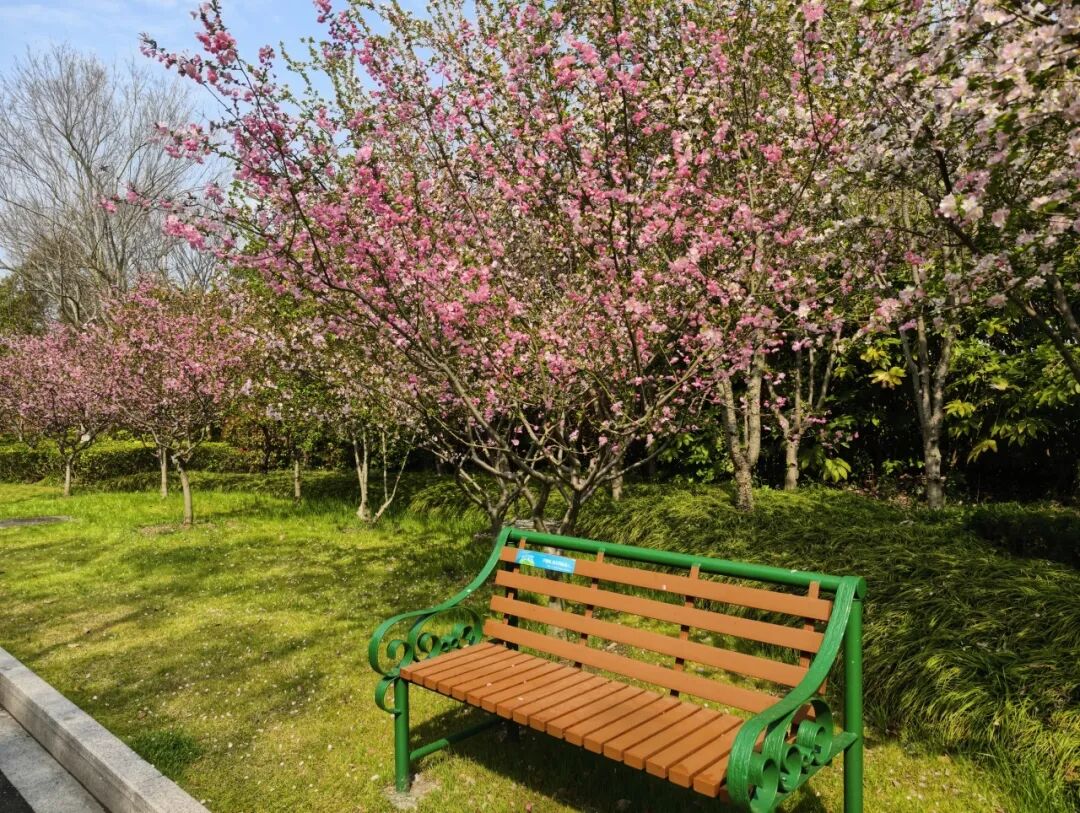 即刻出发，来南通