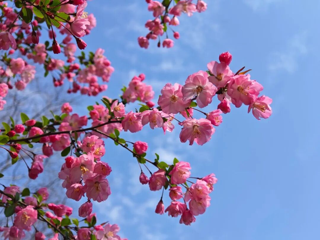 即刻出发，来南通