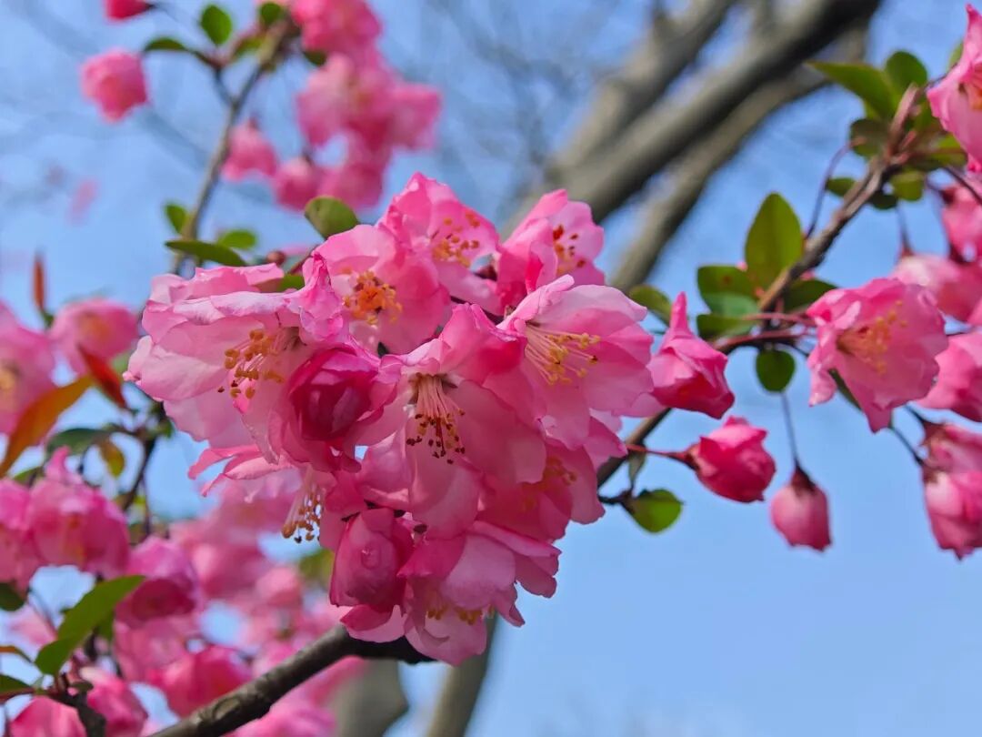 即刻出发，来南通