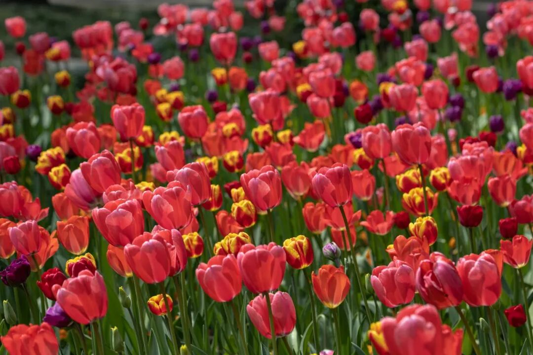 即刻出发，来南通