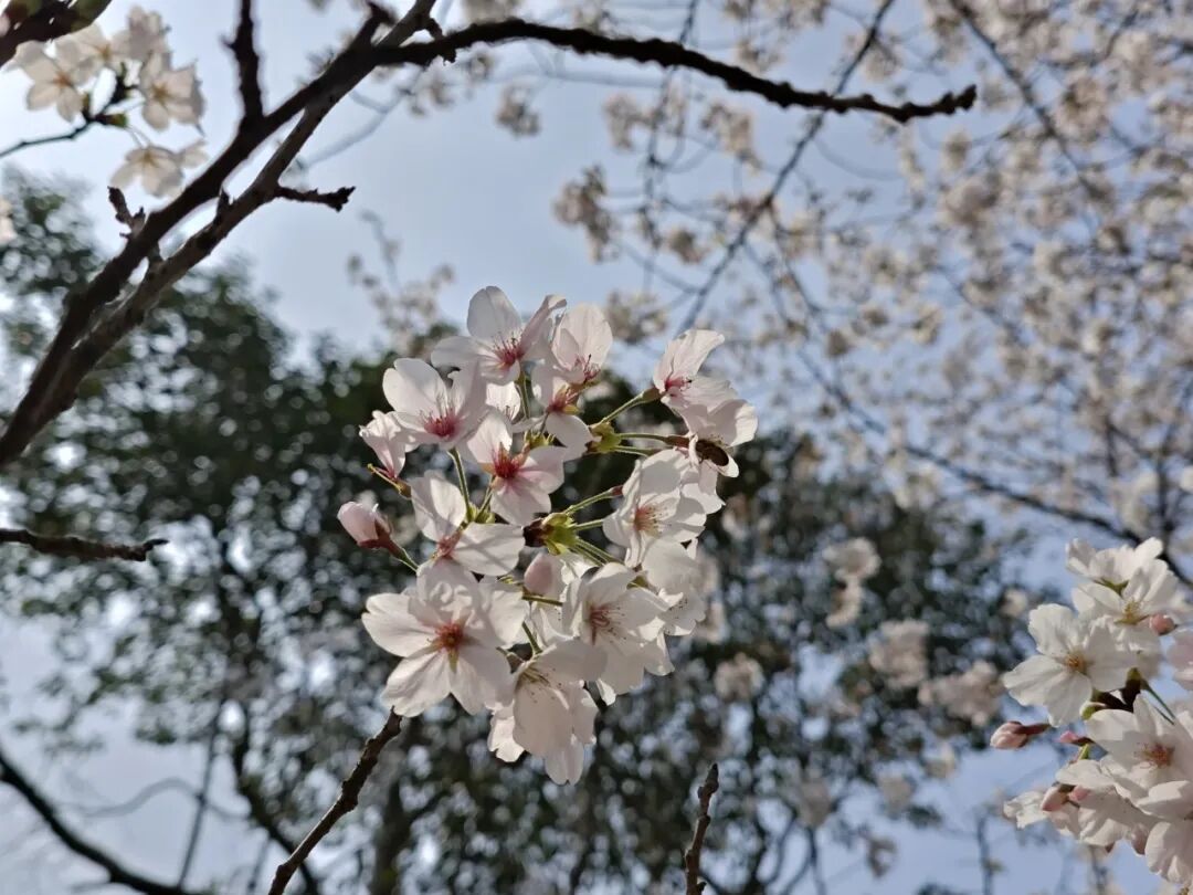 即刻出发，来南通