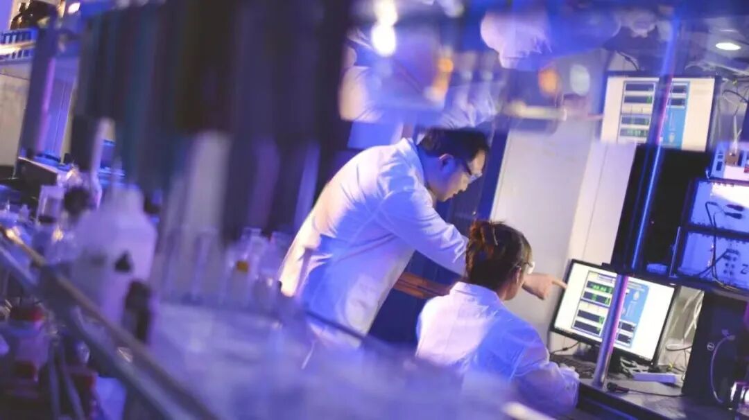 【阳光招考·招生信息】（一）大连理工大学2026年强基计划招生简章