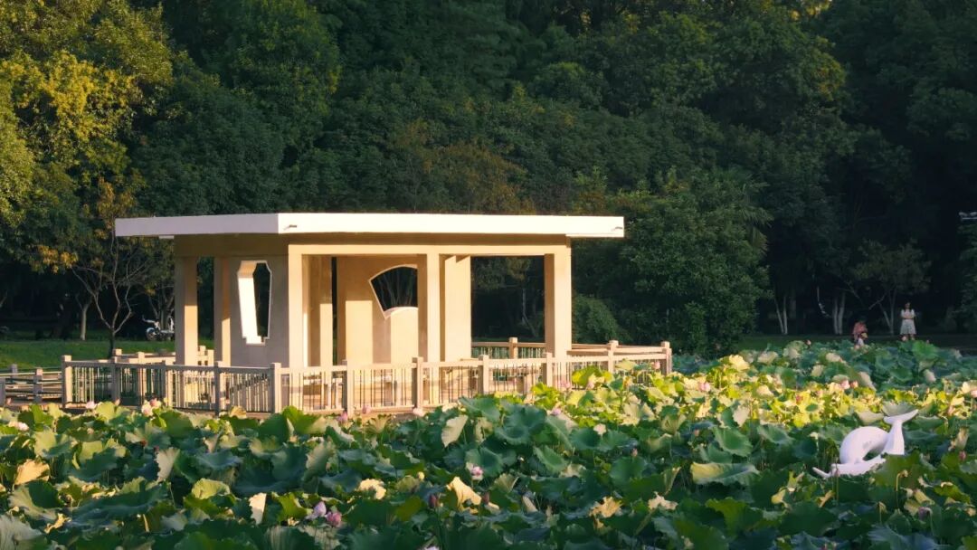 【阳光招考·招生信息】（八）华中科技大学2026年强基计划招生简章