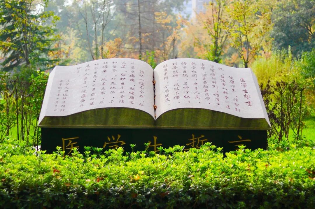 【阳光招考·招生信息】（十七）西安交通大学2026年强基计划招生简章