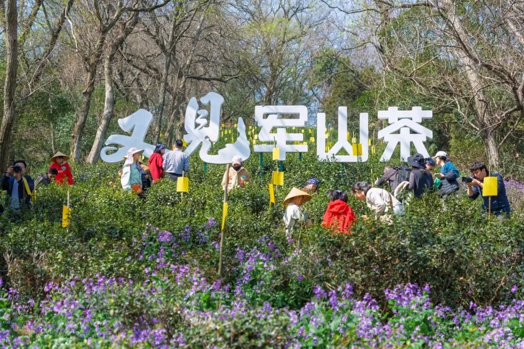 出来玩！是要去趟南通了???