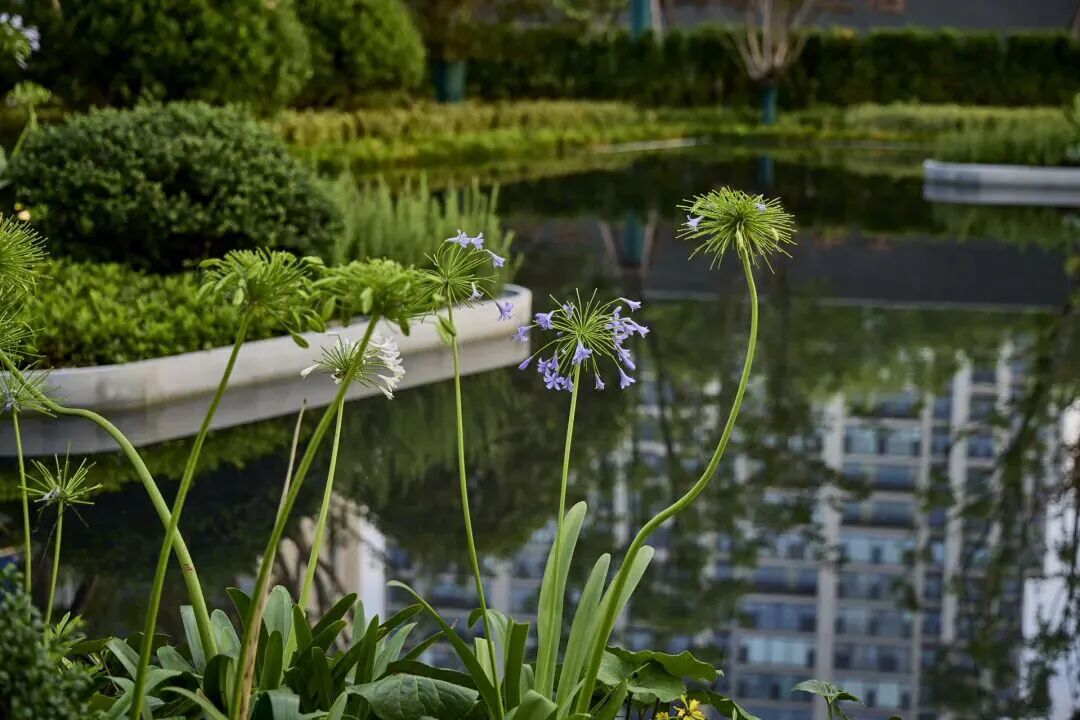 做市场的1%！工地开放，仁恒还是太权威